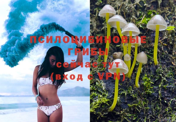герыч Зеленокумск