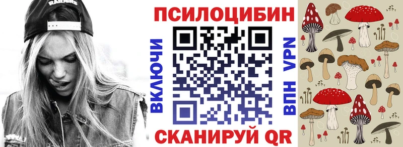 Купить закладки  Катайск  Псилоцибиновые грибы Psilocybine cubensis 